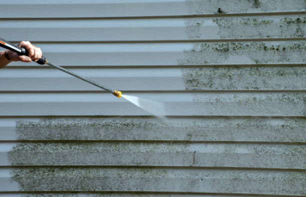 Best Dumpster Area Cleaning  in Ione, CA